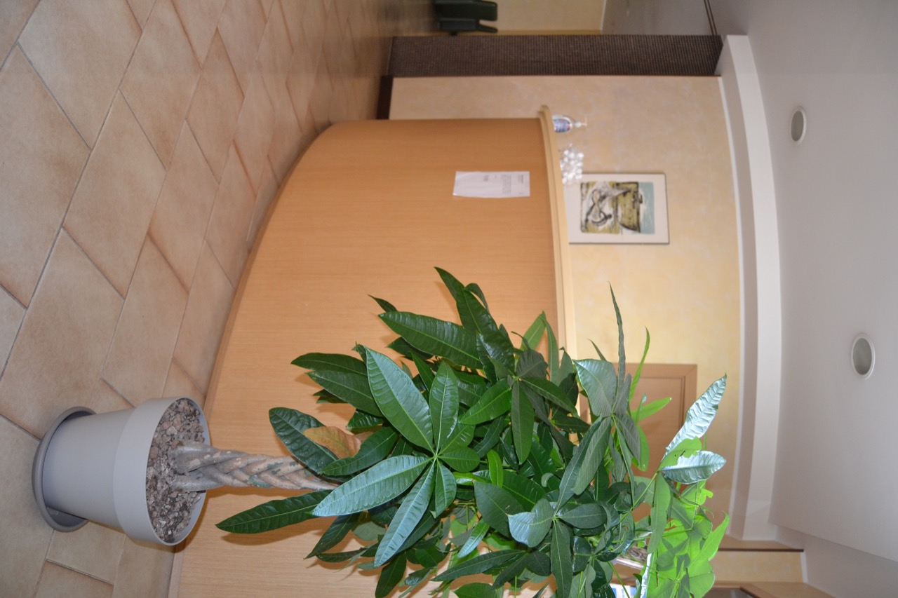 Hotel Tolentino, Albergo Tolentino , B&B Hotel Milano, Albergo a 3 stelle a Tolentino , Hotel Centro Storico di Tolention, Hotel Tolentino Milano , Albergo Tolentino ,vacanza a Tolentino, Albergo in provincia di Macerata, Albergo e Hotel vicino alle Terme di Santa Lucia